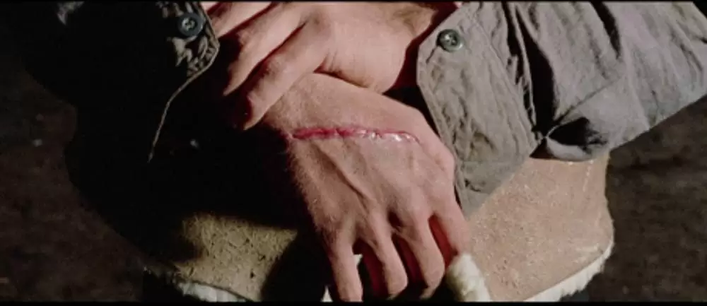 真昼の用心棒の画像