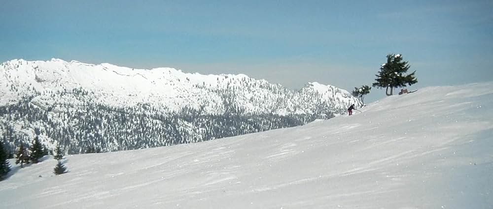 判事と殺人者の画像
