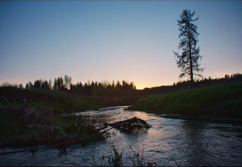 トレイン・ドリームズの画像