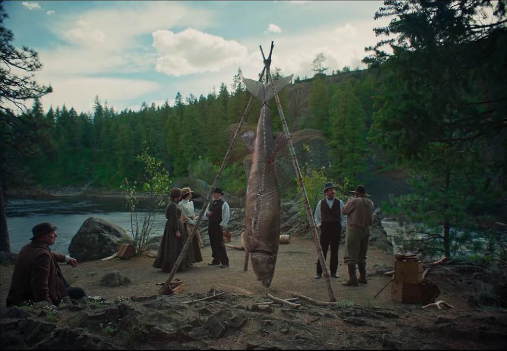 トレイン・ドリームズの画像