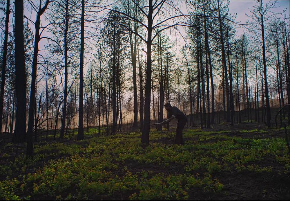 トレイン・ドリームズの画像