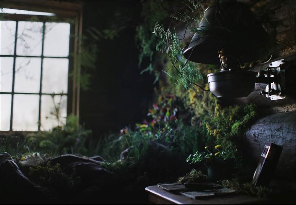 トレイン・ドリームズの画像