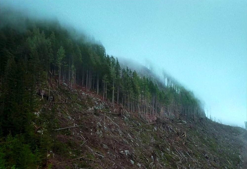 トレイン・ドリームズの画像