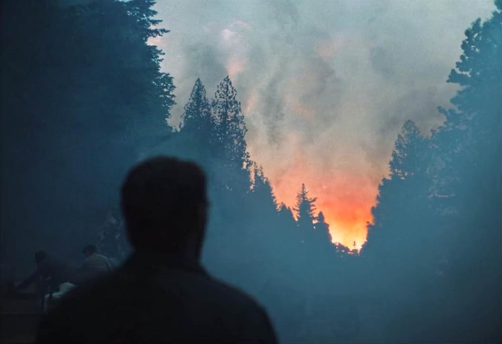 トレイン・ドリームズの画像