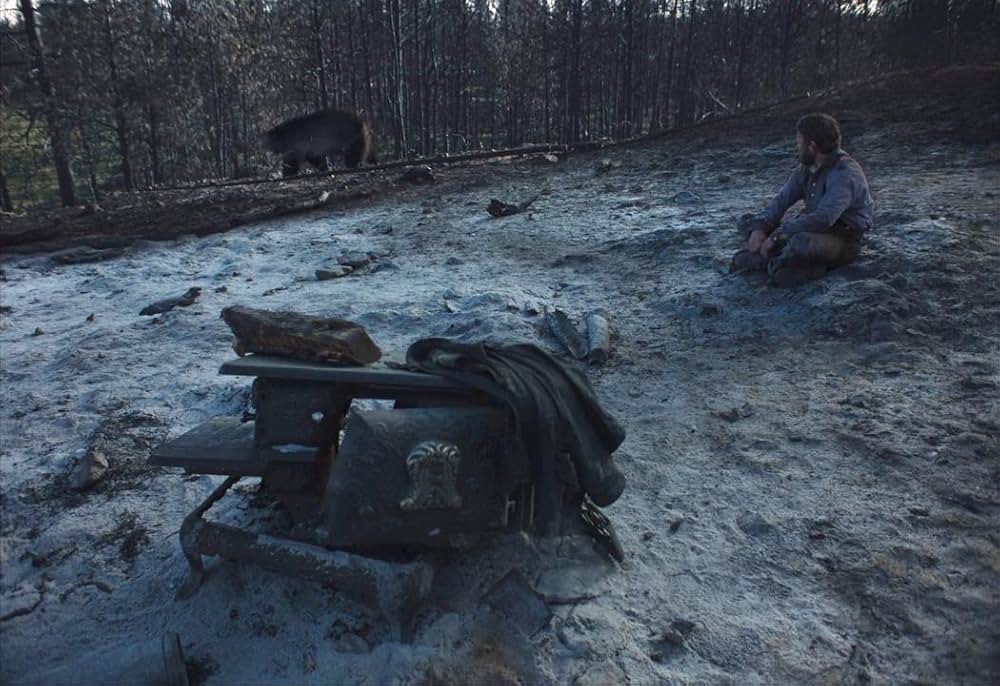 トレイン・ドリームズの画像