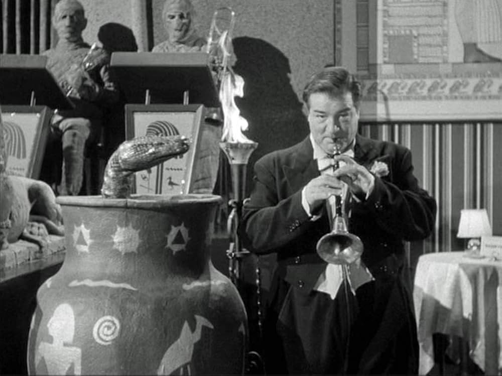 凸凹ミイラ男の画像