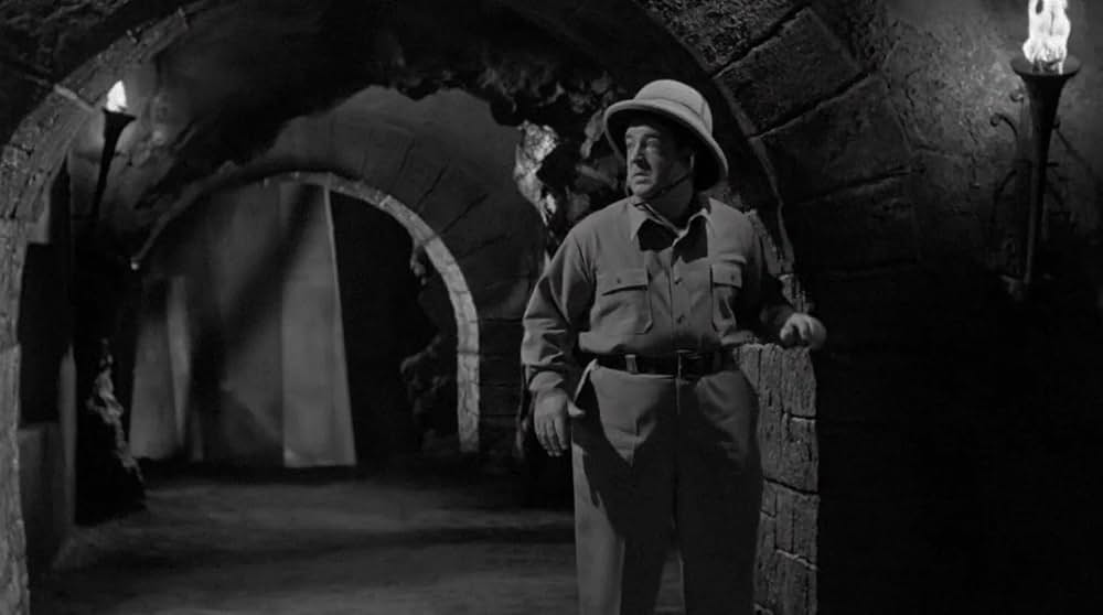 凸凹ミイラ男の画像