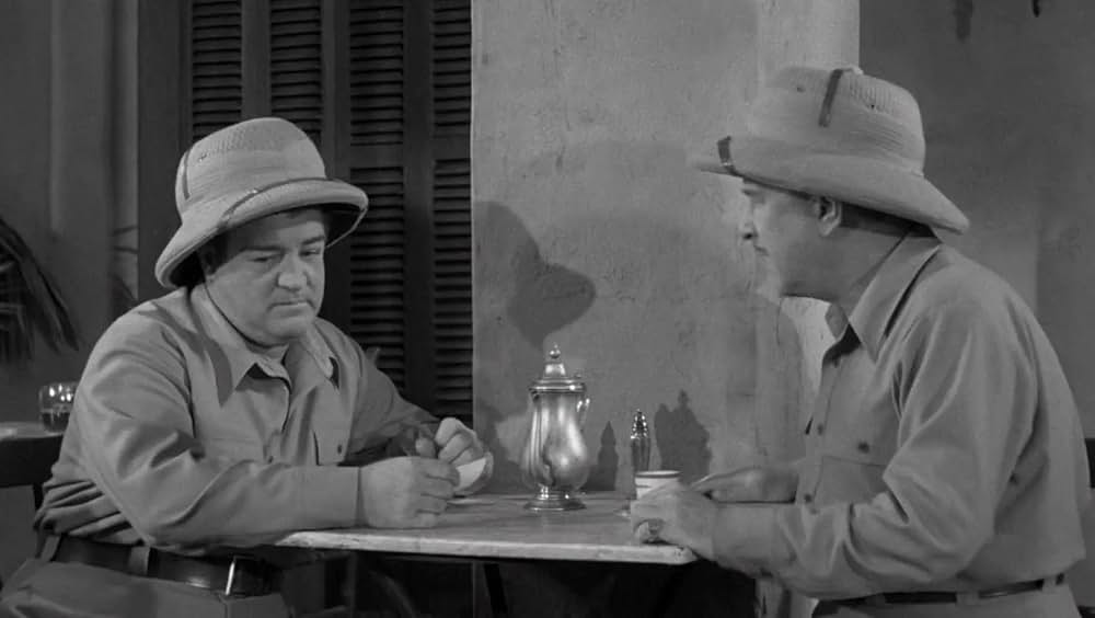 凸凹ミイラ男の画像