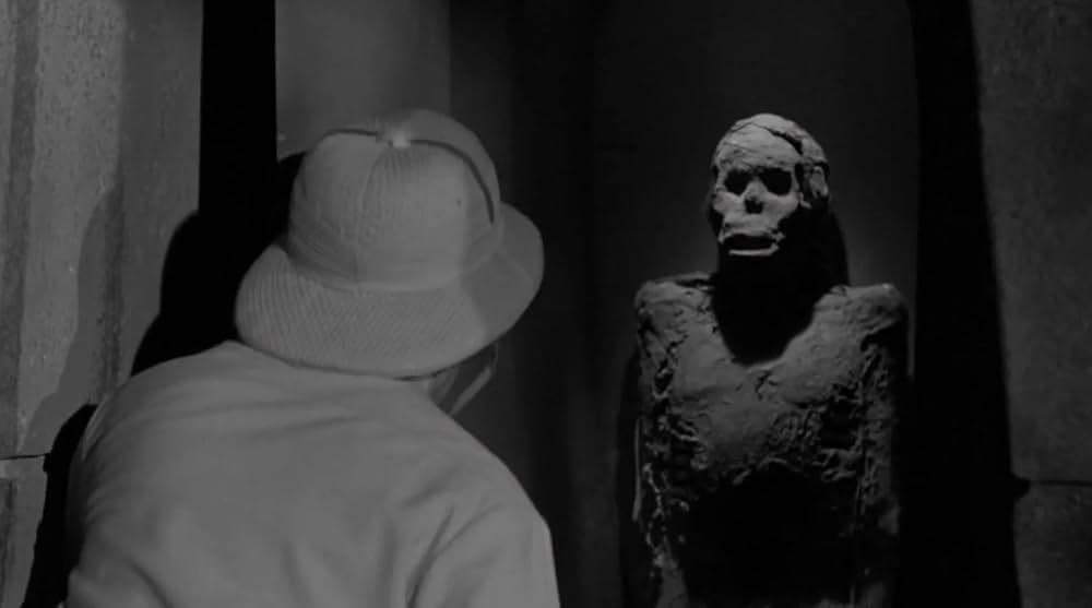 凸凹ミイラ男の画像