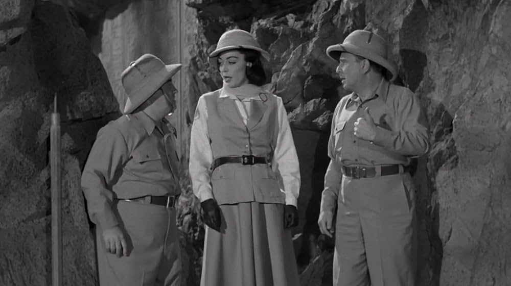 凸凹ミイラ男の画像