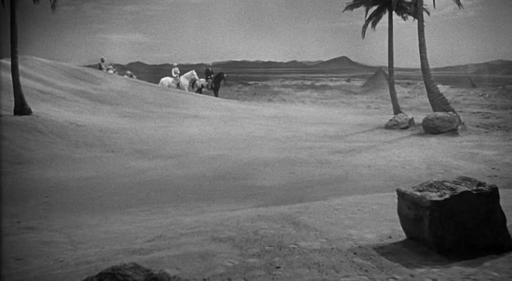 凸凹ミイラ男の画像