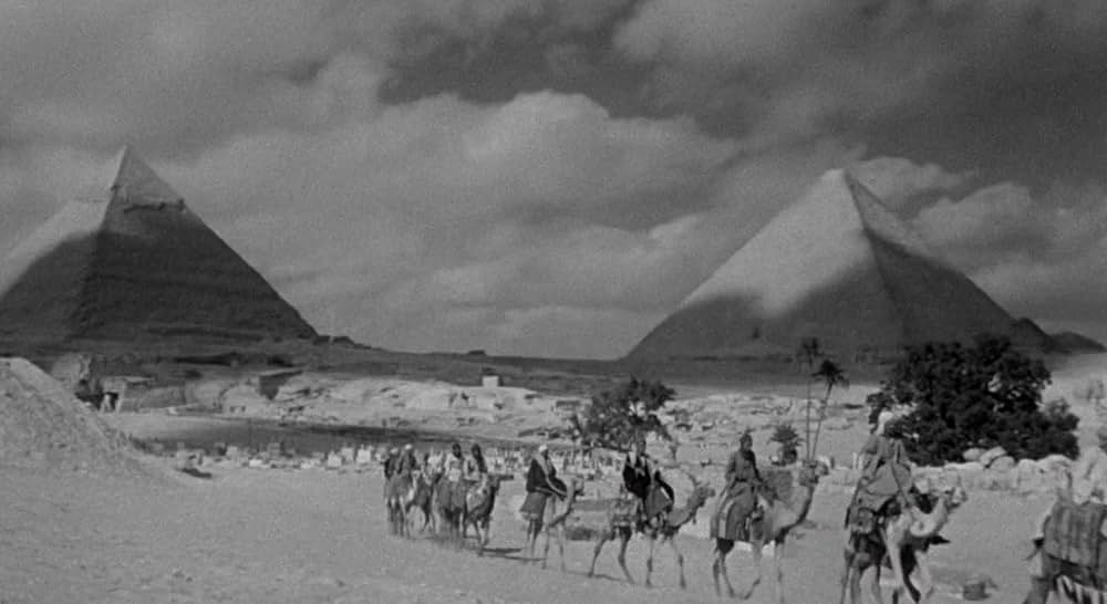 凸凹ミイラ男の画像