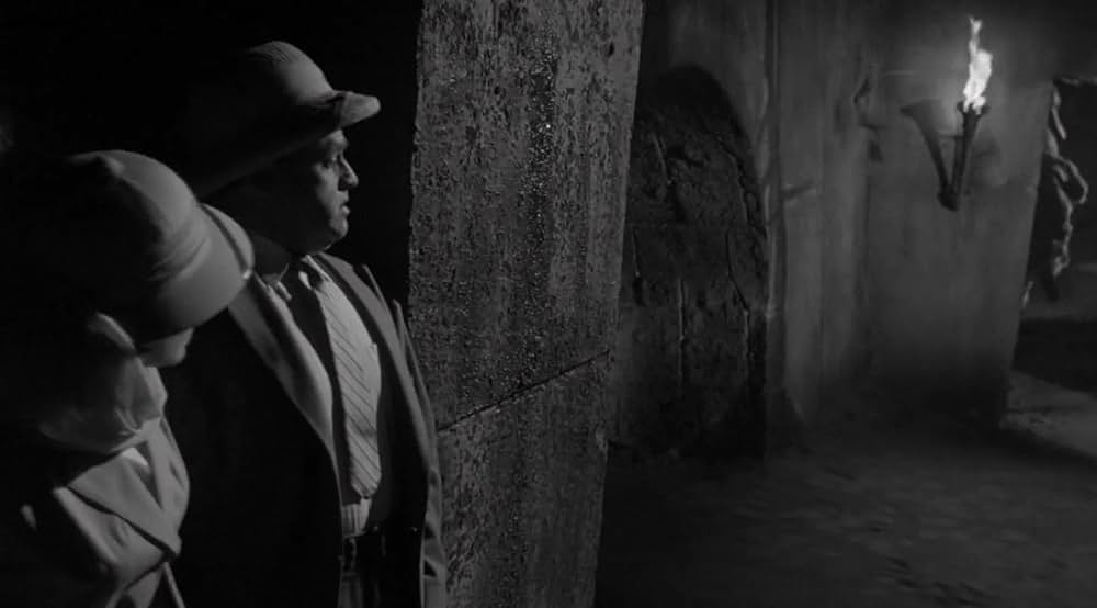 凸凹ミイラ男の画像