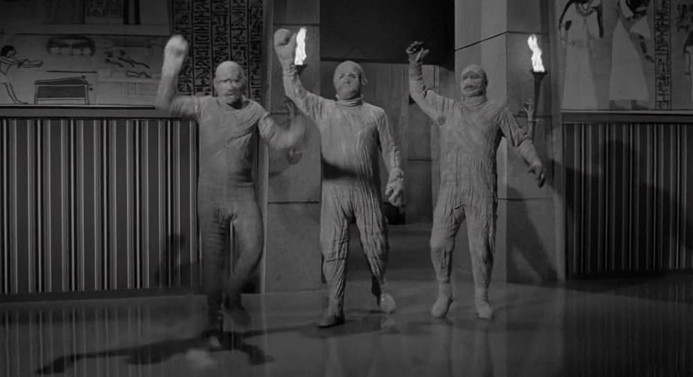 凸凹ミイラ男の画像