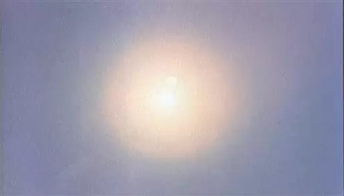 セクシリアの画像