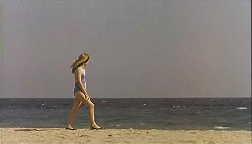 セクシリアの画像