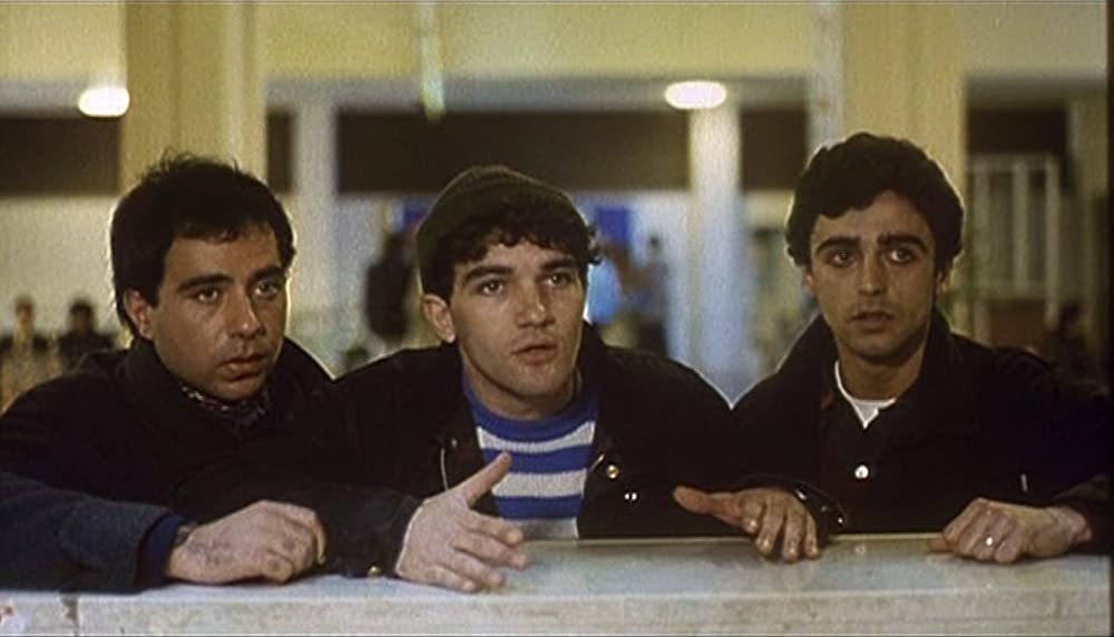 セクシリアの画像