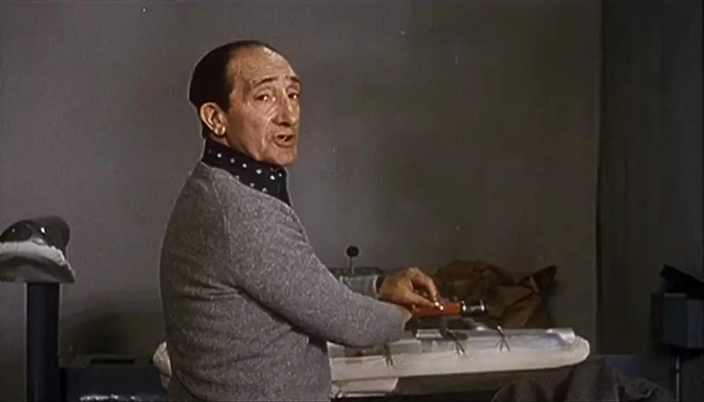 セクシリアの画像