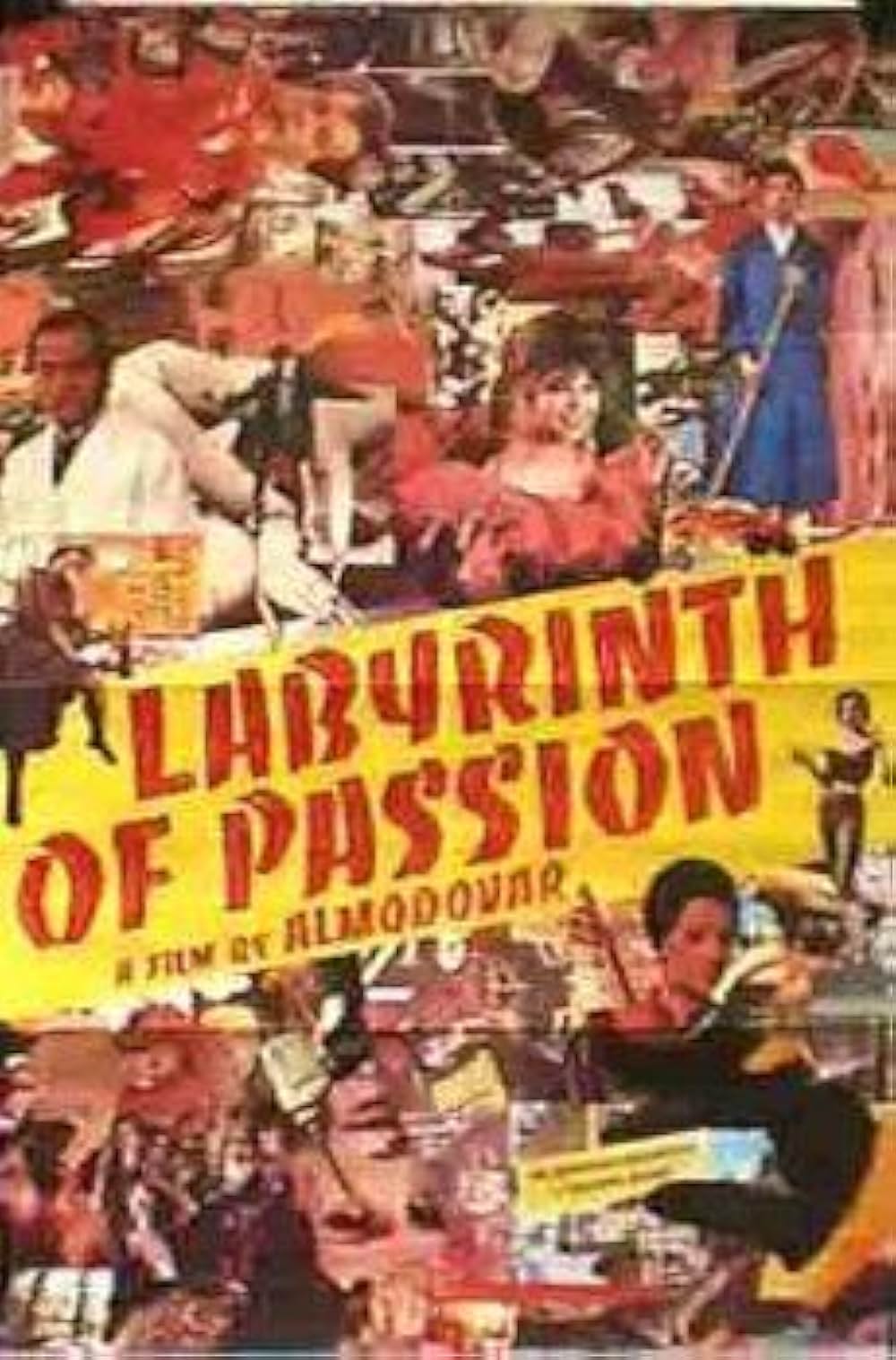 セクシリアの画像