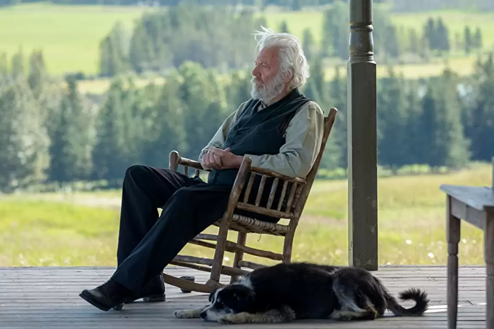 ワイルドガンの画像