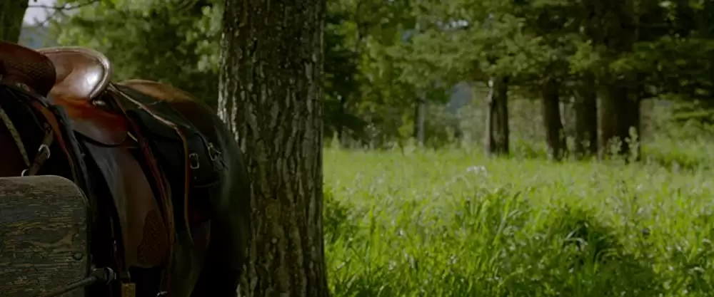 ワイルドガンの画像