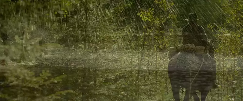 ワイルドガンの画像