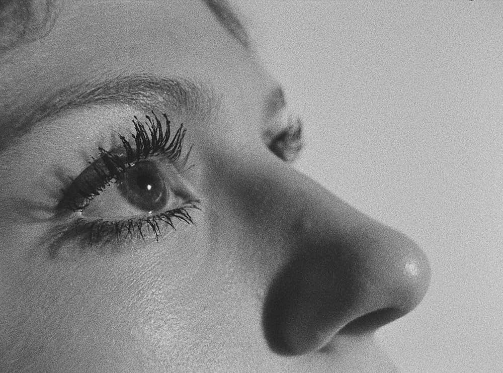 The Soft Space（原題）の写真