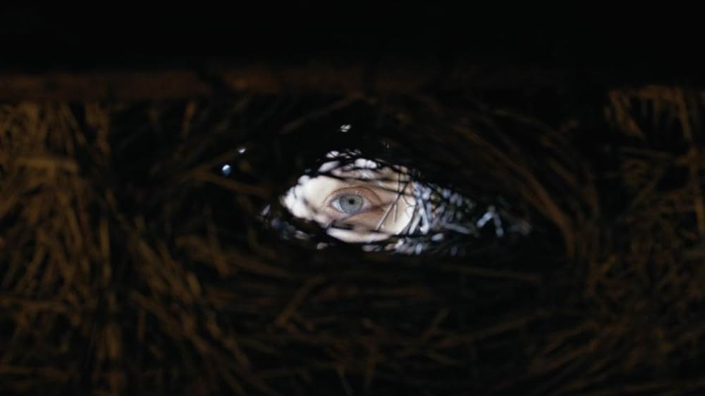 Shaman（原題）の画像