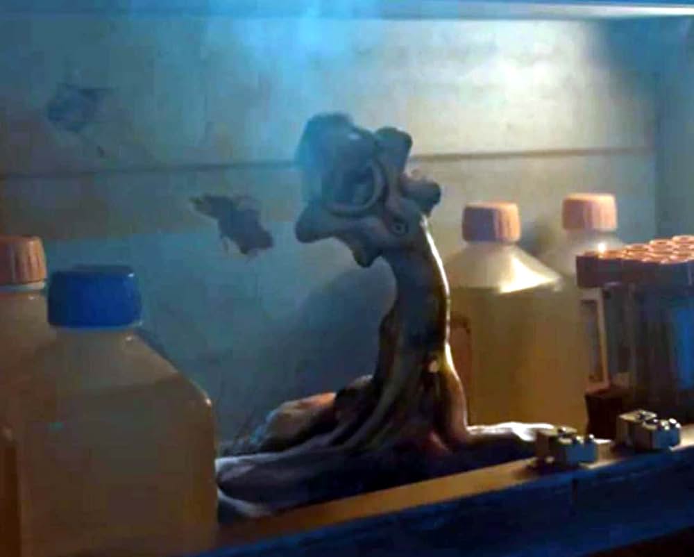 アムピトリテ 脱出不能な女たちの画像