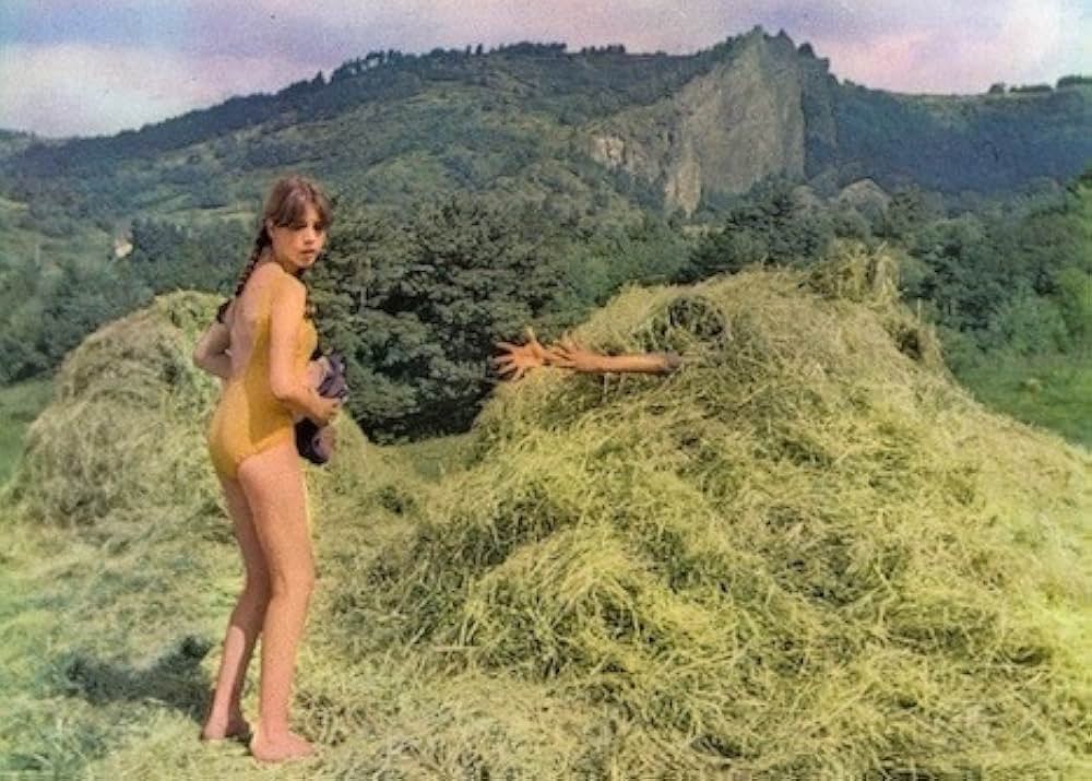 Le petit bougnat（原題）の画像