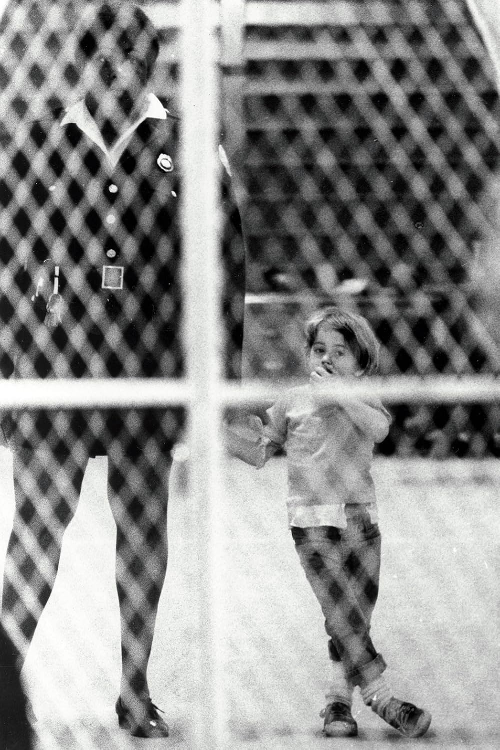 Pound（原題）の画像