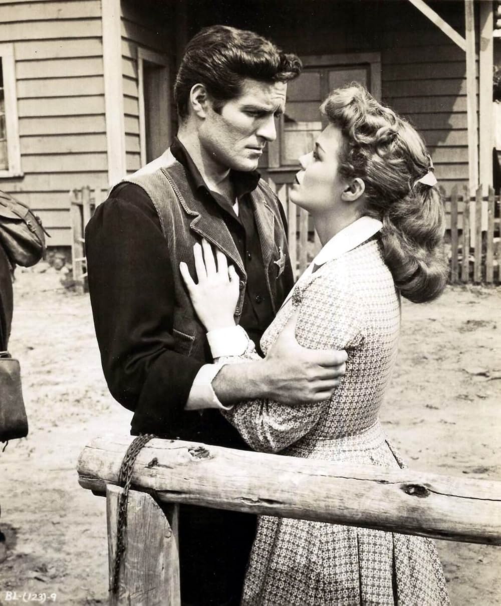 荒野の宿敵の画像