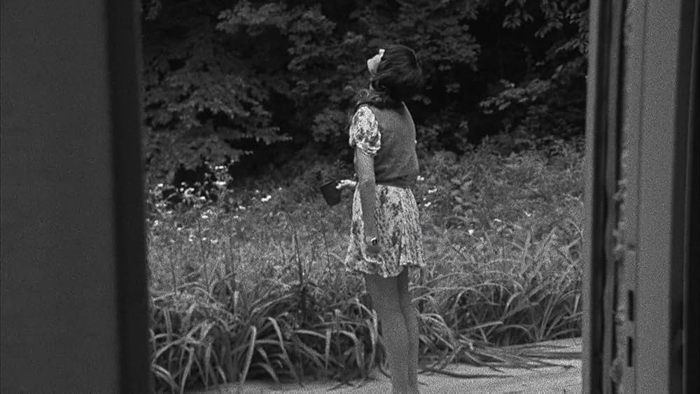 The color wheel（原題）の画像