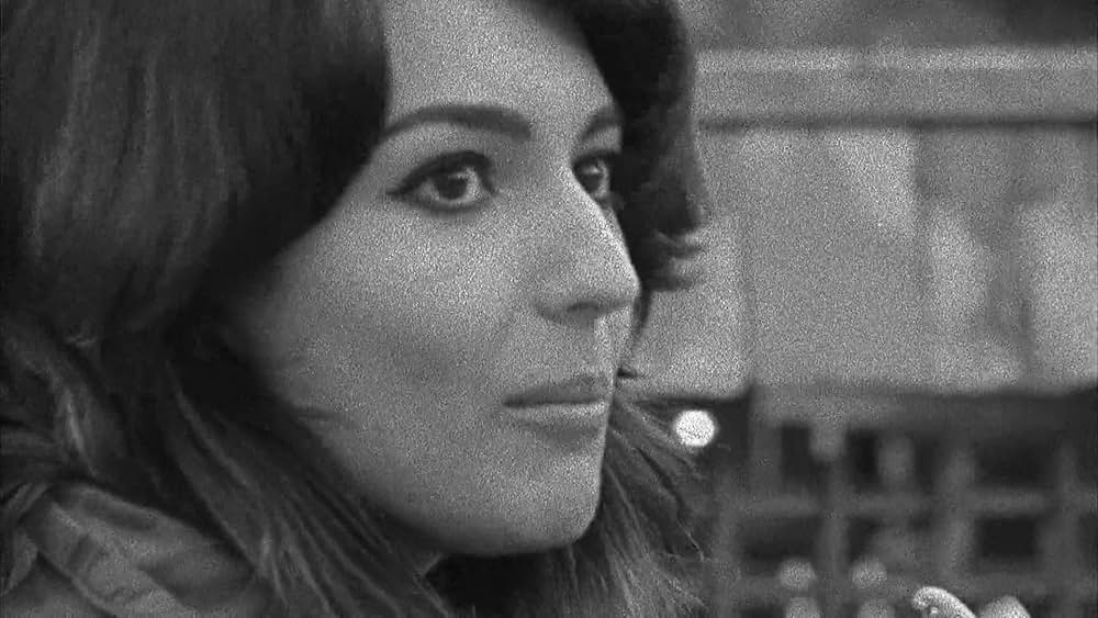 The color wheel（原題）の画像