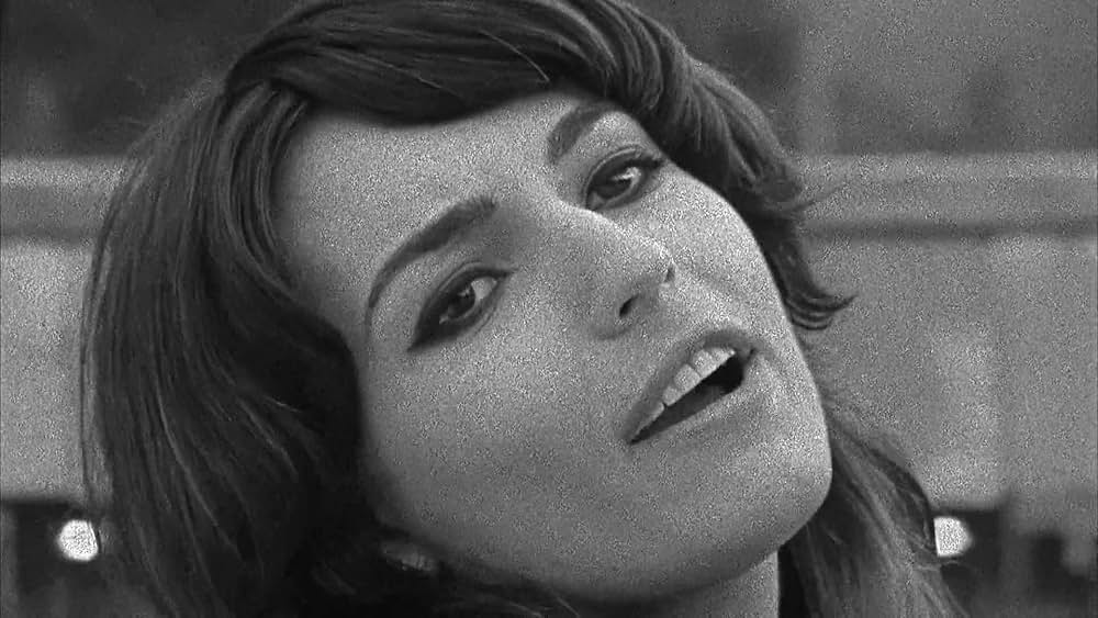 The color wheel（原題）の画像