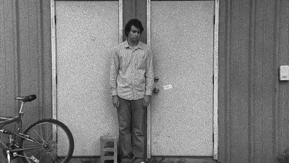 The color wheel（原題）の画像