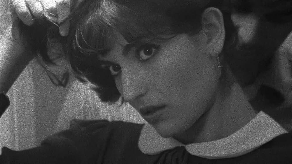 The color wheel（原題）の画像