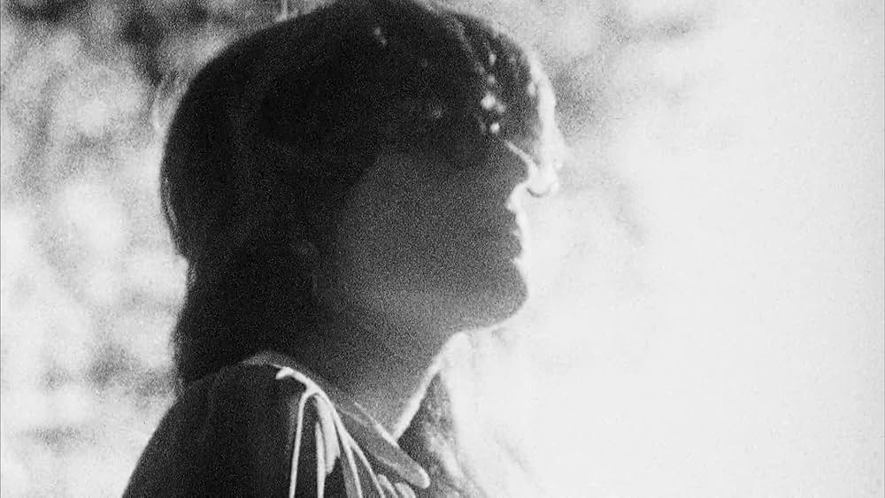 The color wheel（原題）の画像