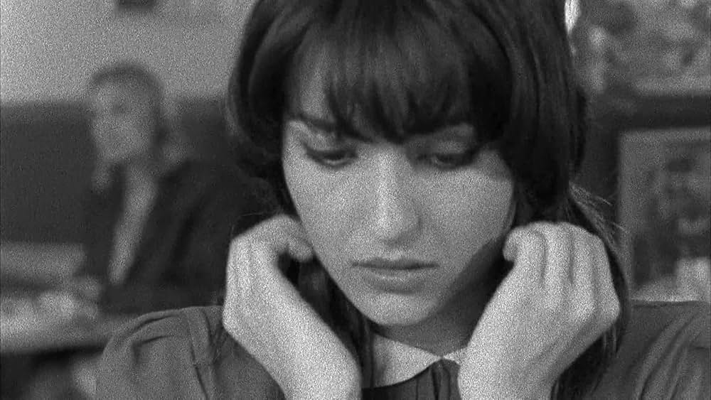 The color wheel（原題）の画像