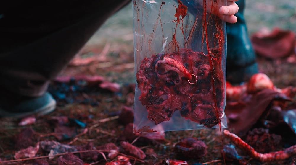 Hell Hole（原題）の画像