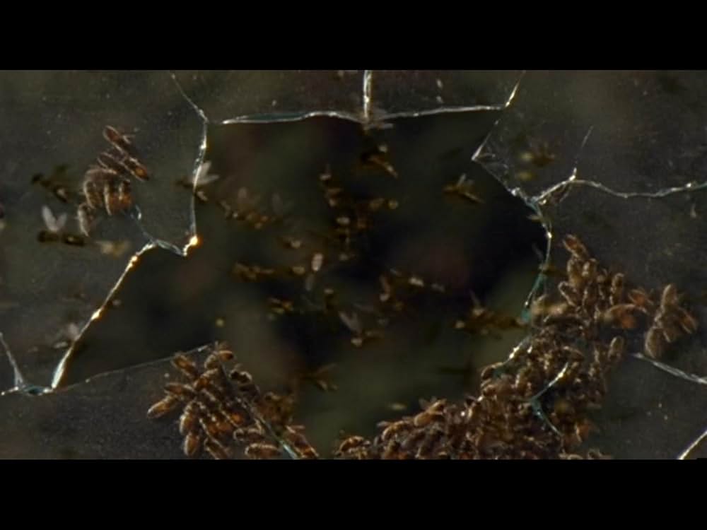 リーサルレギオンの画像