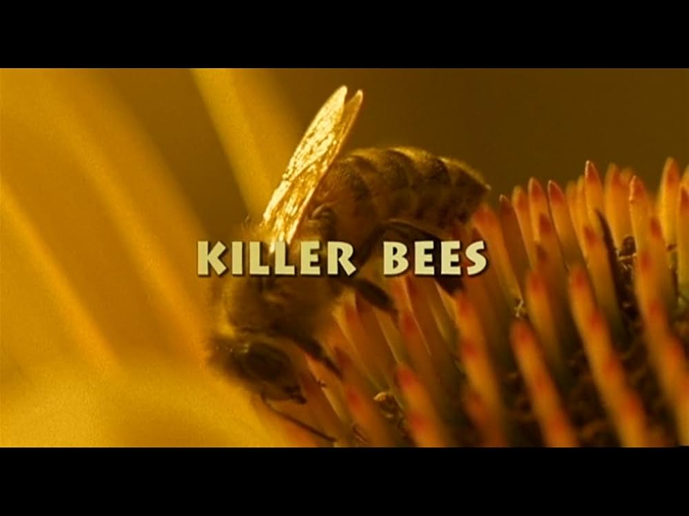 リーサルレギオンの画像