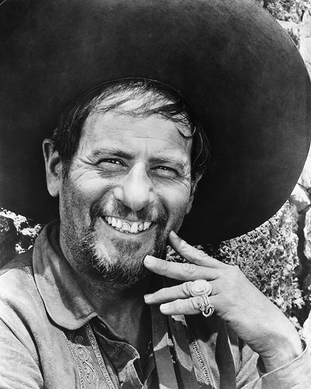 荒野の七人の画像