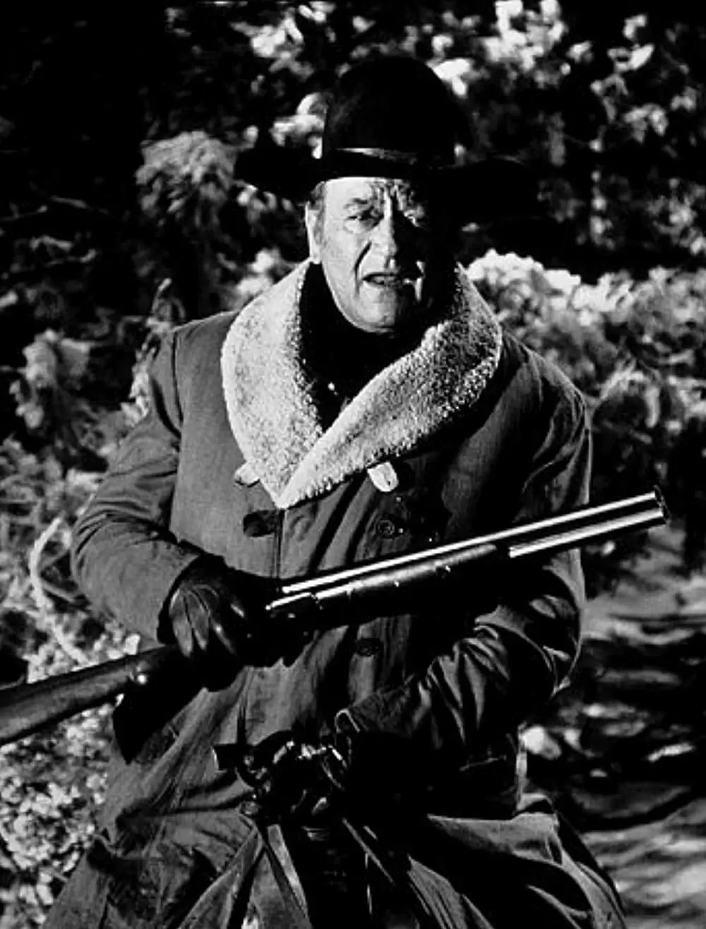 ビッグケーヒルの画像