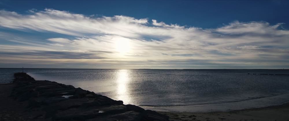 Da Sweet Blood of Jesus（原題）の画像