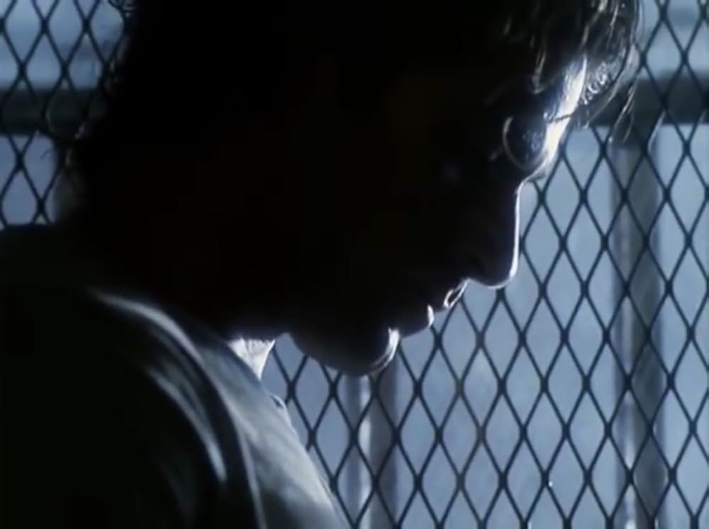 The Lotteryの写真