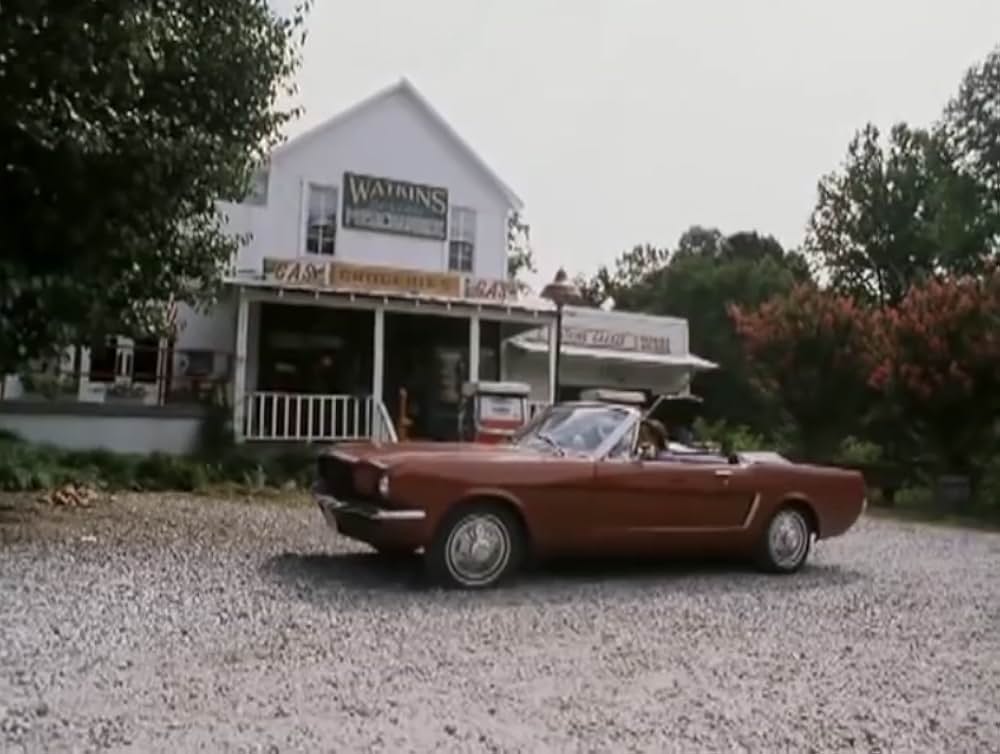 The Lotteryの画像