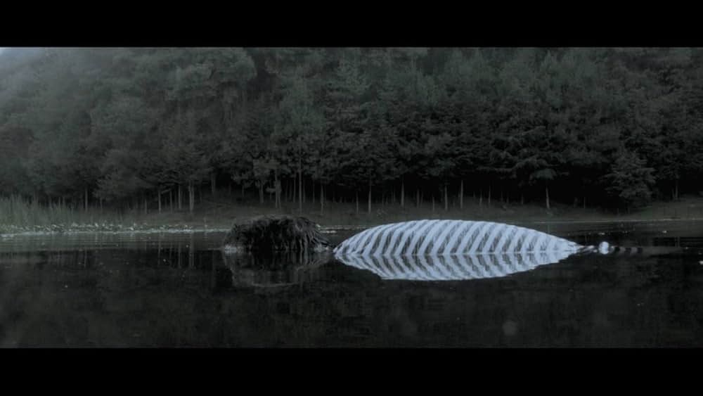 ロミーナの画像