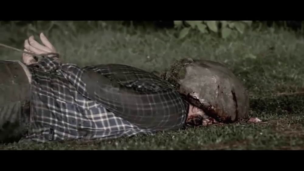 ロミーナの画像