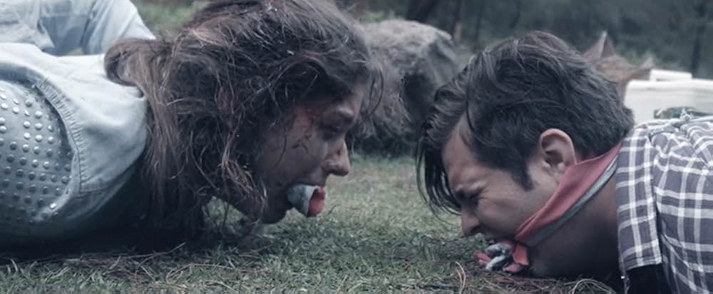 ロミーナの画像